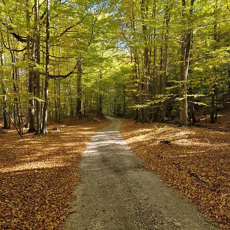 Vakantiehuis Vikendica Klocanica *