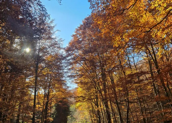 Vikendica Klocanica Case de vacanță *